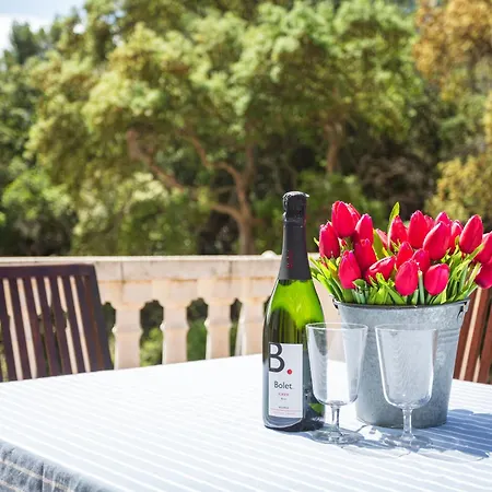Tatil Evi Casa Martini *